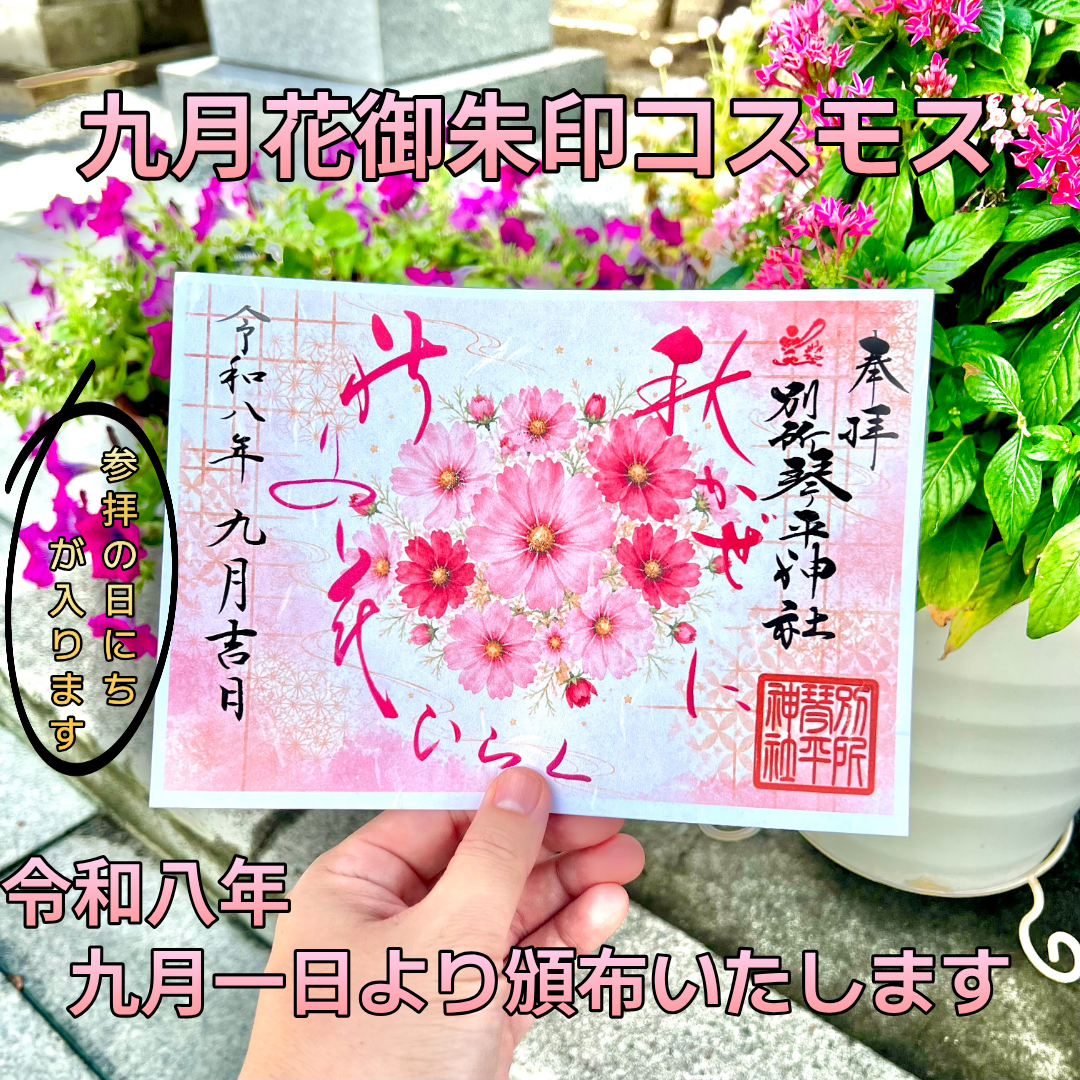 九月花御朱印「コスモス」